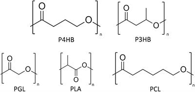 Poly(4-Hydroxybutyrate): Current State and Perspectives